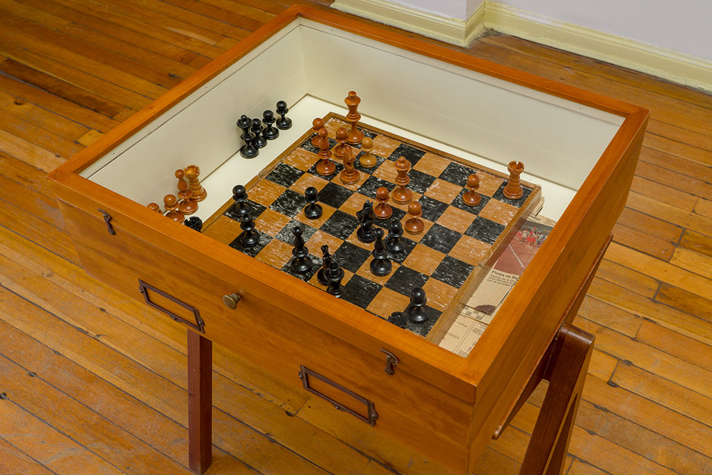 Chess gameset inside an entomological box