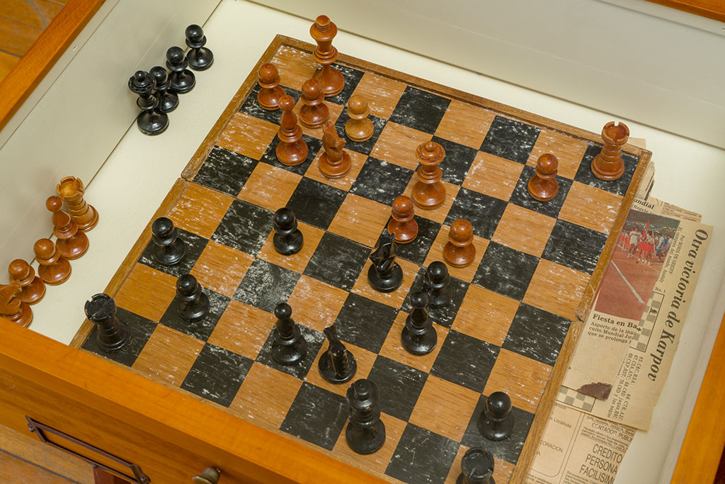Chess gameset inside an entomological box