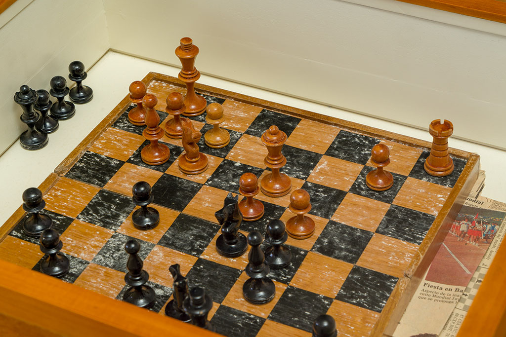Chess gameset inside an entomological box. Photo by: Samuel Monsalve.